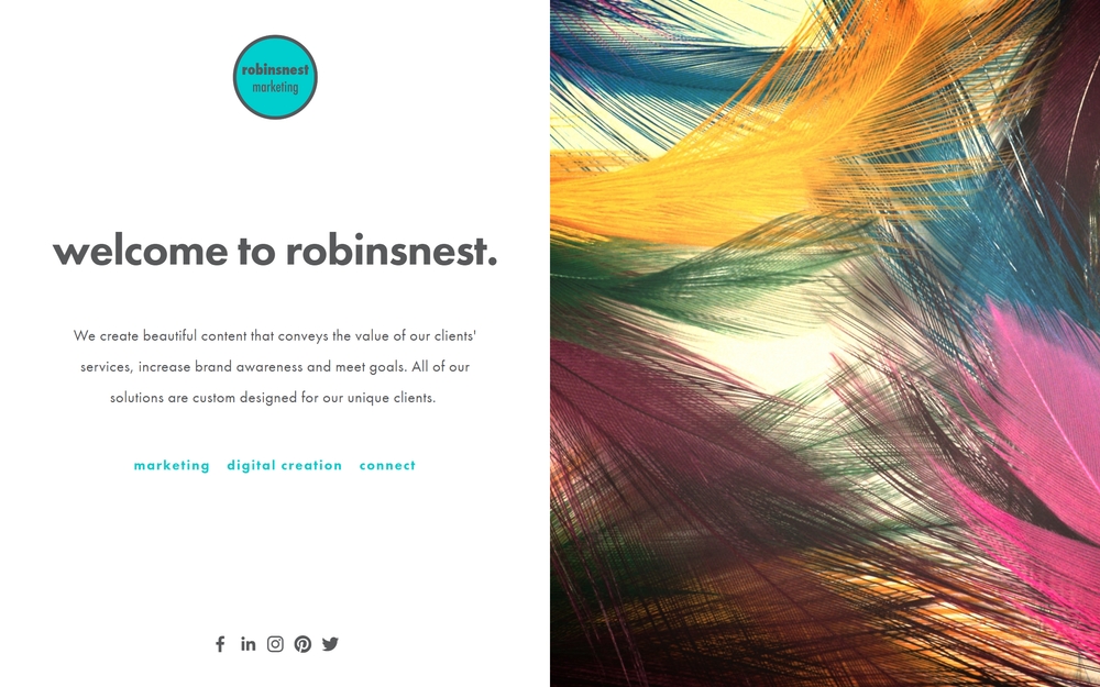 img of B2B Digital Marketing Agency - robinsnest marketing